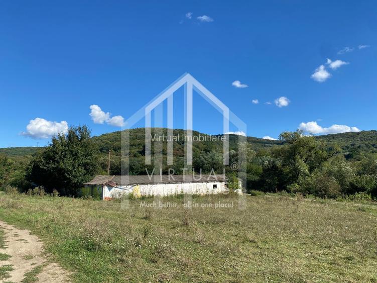 Teren extravilan de vanzare in Sibiu, 40,000 sau 80,000 mp - 3