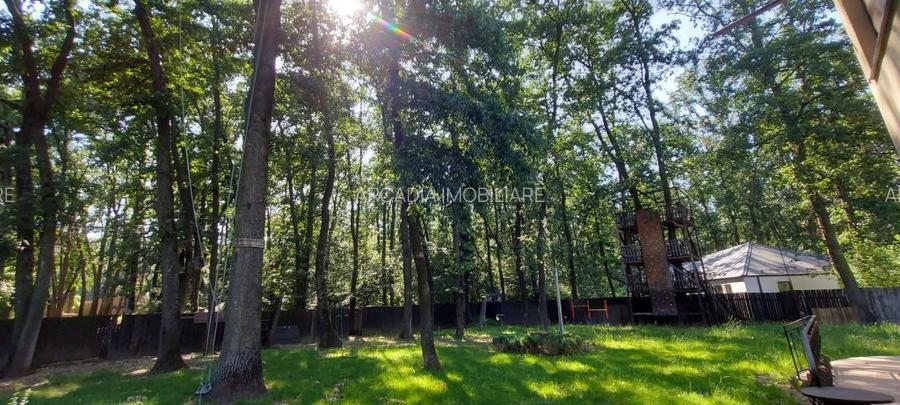 Vanzare - Vila individuala | 5 camere | Piscina | Padure | Corbeanca - 8