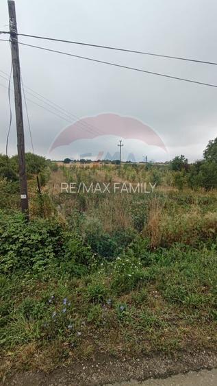 Teren 2.341 mp Uileacu de Munte front 26 ml la drum asfaltat - 16