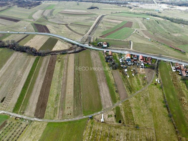 RECO, Teren cu livada de ciresi, Zona Auseu, Bihor - 2