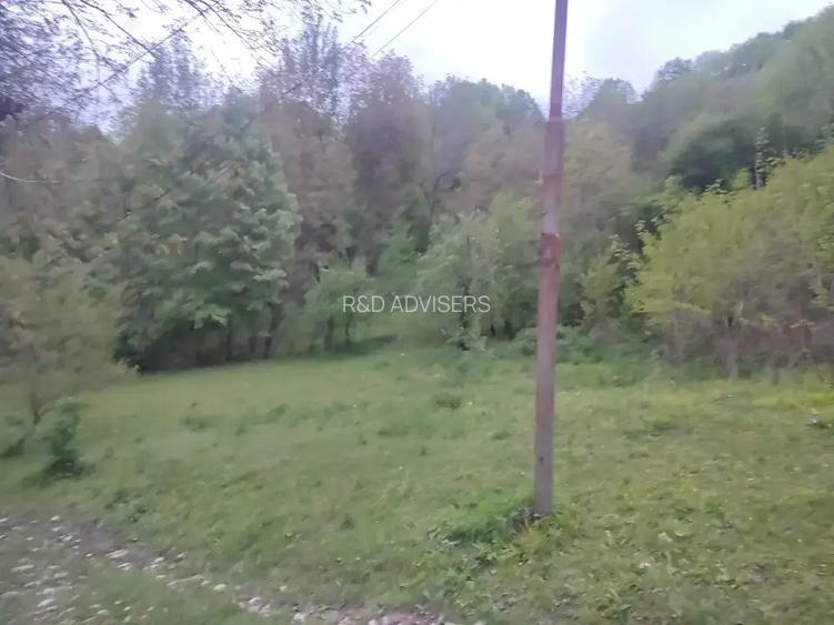 Teren intravilan | Provița de Sus | Breaza | PRAHOVA - 3