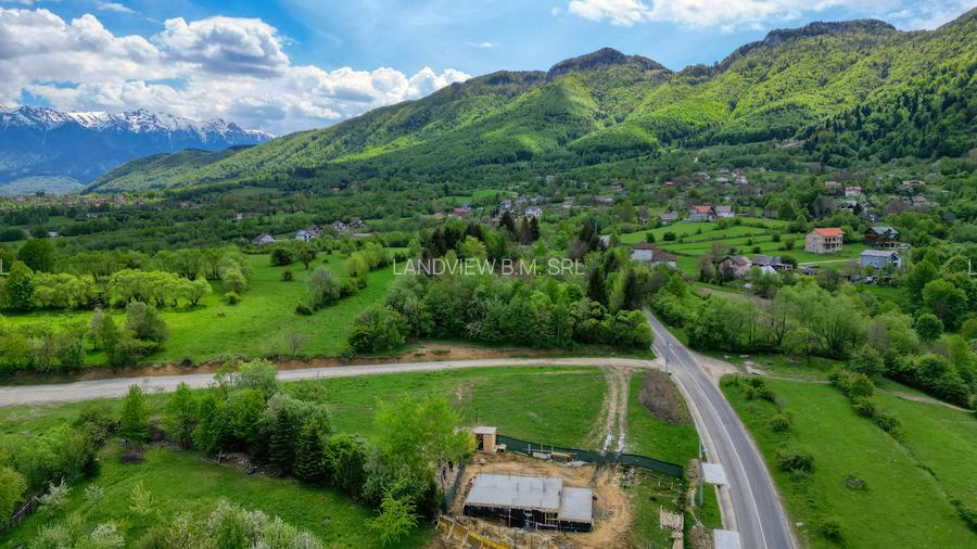 Teren intravilan 500 sau 1200 mp Bran-Tohanita langa dum asfaltat - 8