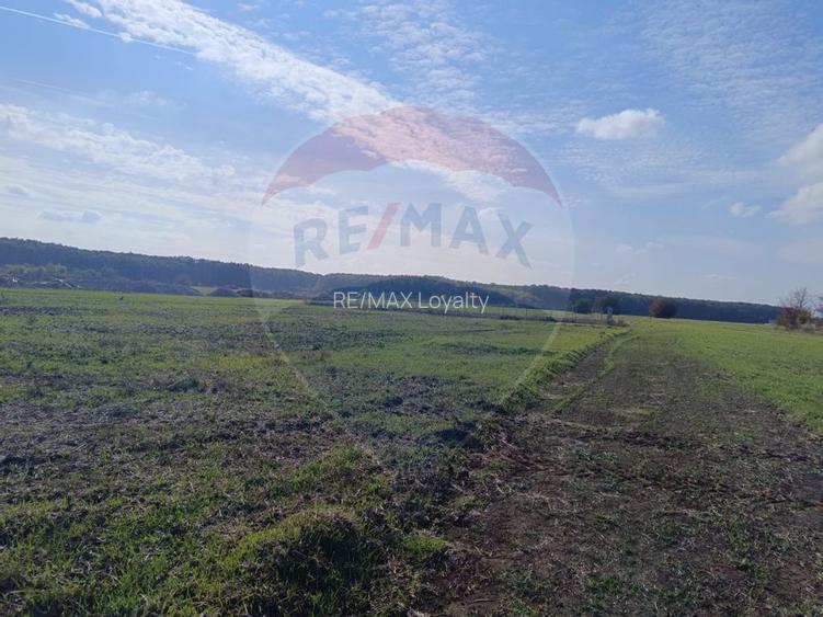 Teren 800mp Ghermanesti / Soseaua Ghermanesti - 8
