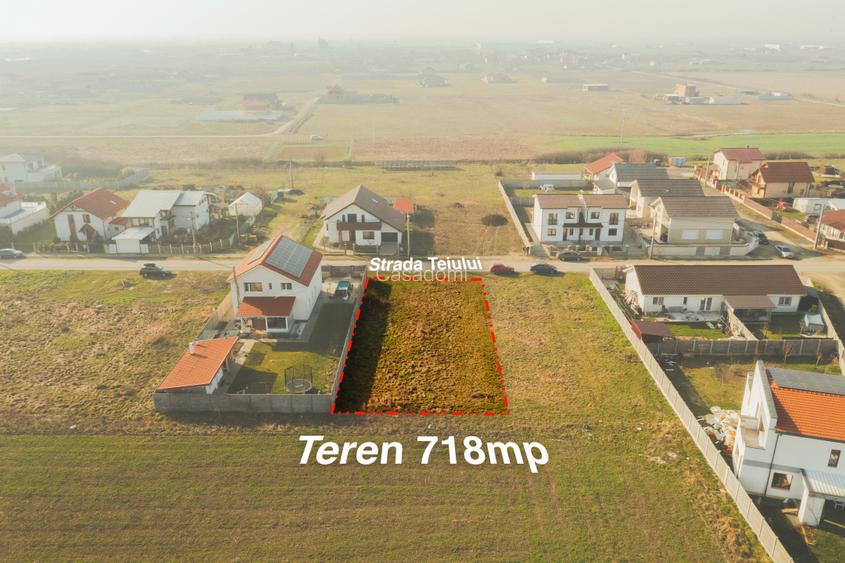 Drum asfaltat - Utilitati - str. Teiului - Sacalaz - 5