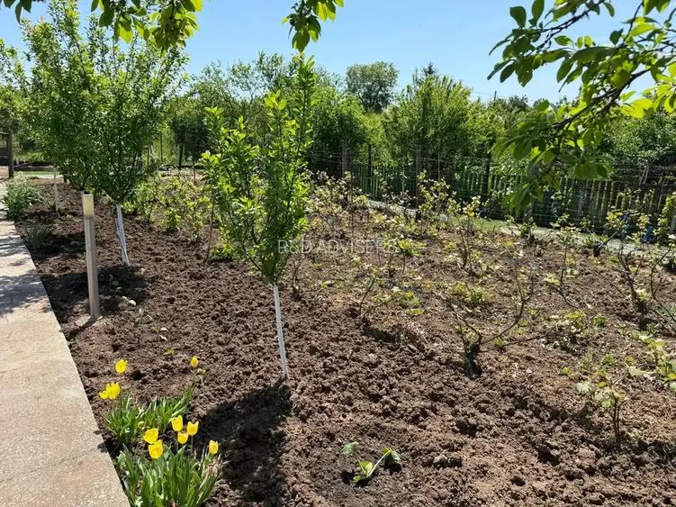 Casa cu 4000 mp teren, Letca Noua, Giurgiu — 1h de București - 13