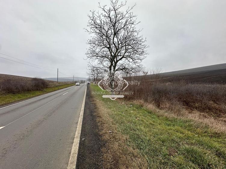 Teren 13.780 mp, Apahida, Cluj - Ideal pentru Investiție - 4