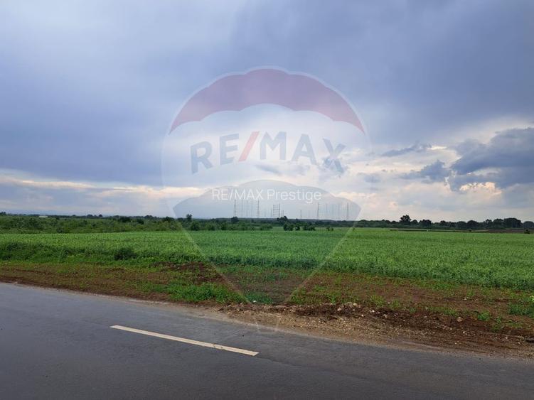 Teren Ciolpani 15.000 mp oportunitate posibilitate lotizare 5000 mp - 6