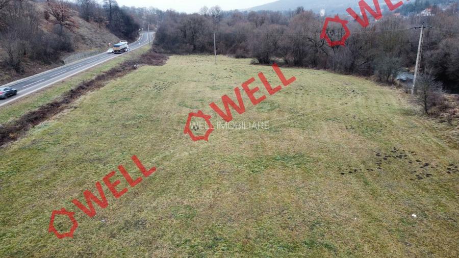 De vânzare teren extravilan de 10.900 metri pătrați în Micfalău. - 6