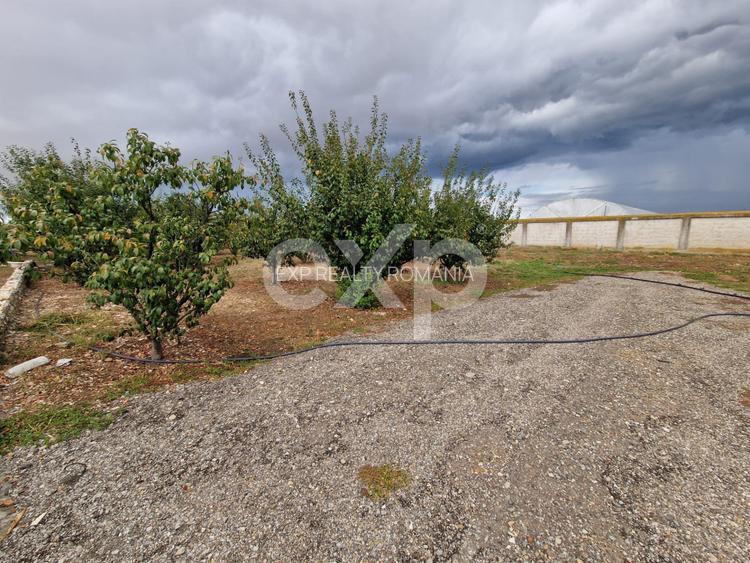 Teren de vanzare  intravilan 660 mp + 1500 livada  Racovița (DB) - 3