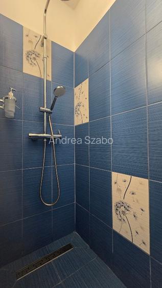 Chirie 2 camere Mănăștur, Cluj-Napoca - 9