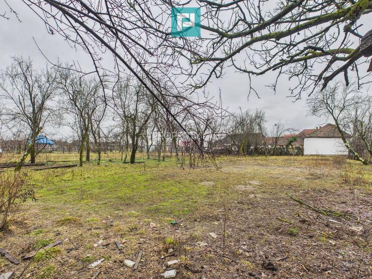 Casă modernă P+1, cu magazin, lângă orașul Sebiș - 33