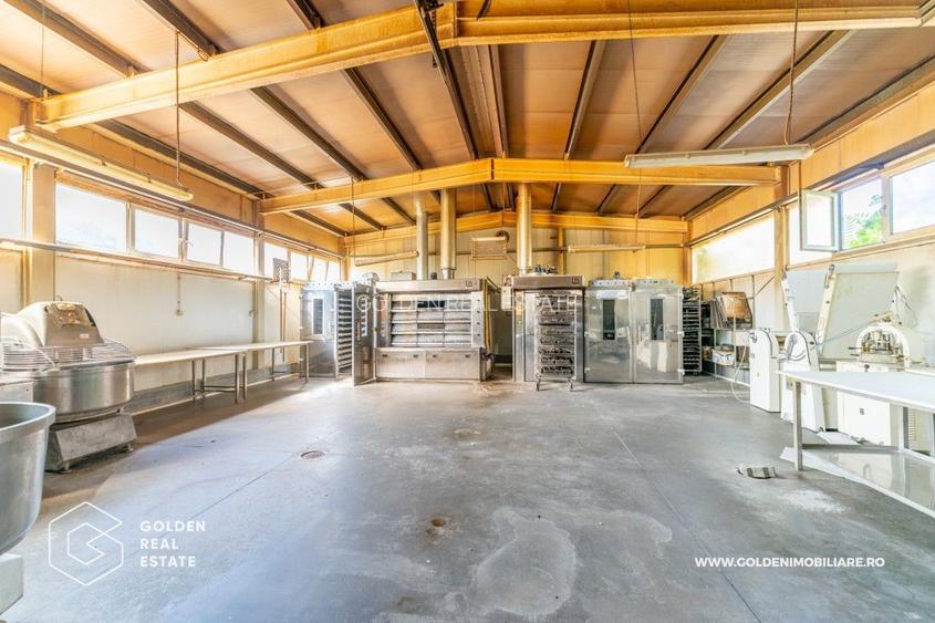 Locuinta de familie cu spatiu ideal pentru dezvoltarea unei afaceri - 14
