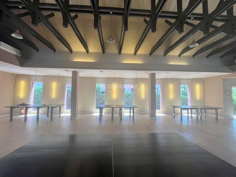 Spatiu de inchiriat -Lipovei - 13