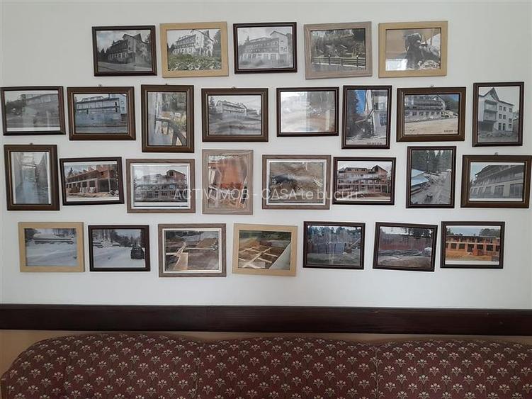 Trei Ape CS Pensiune la Munte Comis.ZERO Cump.si in Cryptomonede - 39