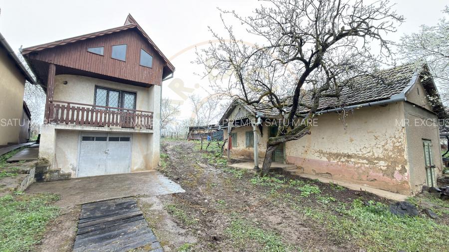 De vânzare 2 Case de vinificație cu Teren 4108 mp - Grădina Viilor - Carei - 2