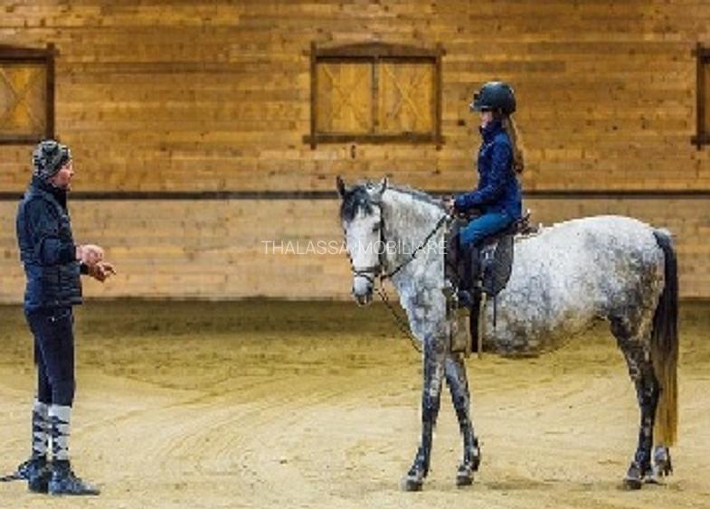 Apartamente de Vacanta - Rasnov Brasov - 17