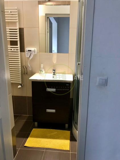 Apartament 1 Camera de inchiriat zona Centrala - 13
