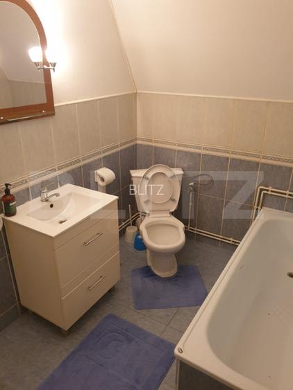 Proprietate cu doua cladiri in curte in apropiere de Cheile Turzii P+M  - 11