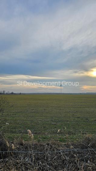 Comision 0% | Teren  30 hectare | Deschidere 550m A1 | Oportunitate investitie - 6