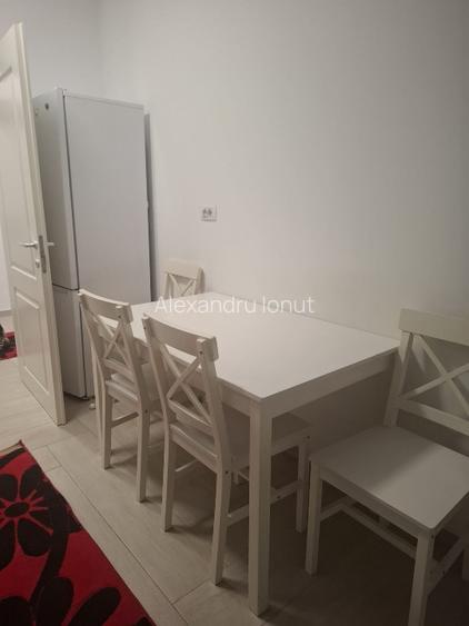 Apartament 2 camere decomandat, zona Tatarasi - 13
