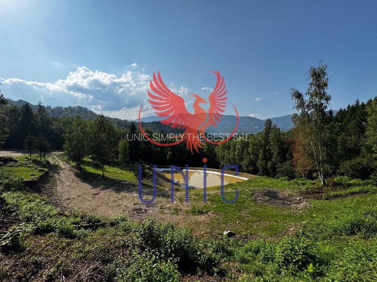 18000 mp de natura pura ,Lupeni, langa Straja - 28