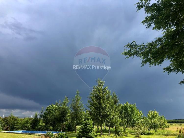 Proprietate speciala Dragomiresti Deal -Teren 15000 mp - 41