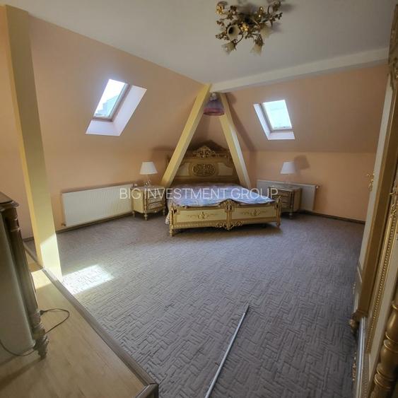 Vila boiereasca, superba, strada, linistita, nelipita de vreun alt imobil - 21