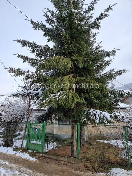 Casa 5 camere+ anexe cu teren 686mp - 18