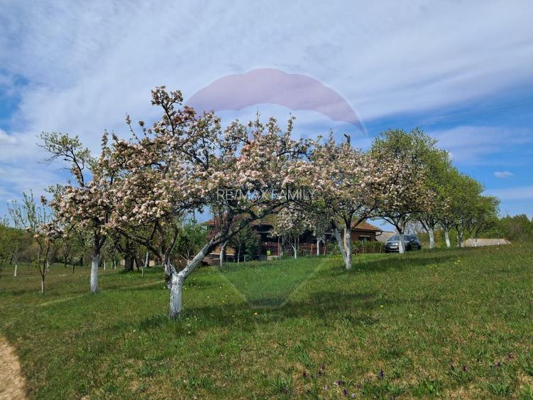 De vanzare casă cu teren 1,17ha la munte, Munteni, Bulz, spre Hiltop - 3