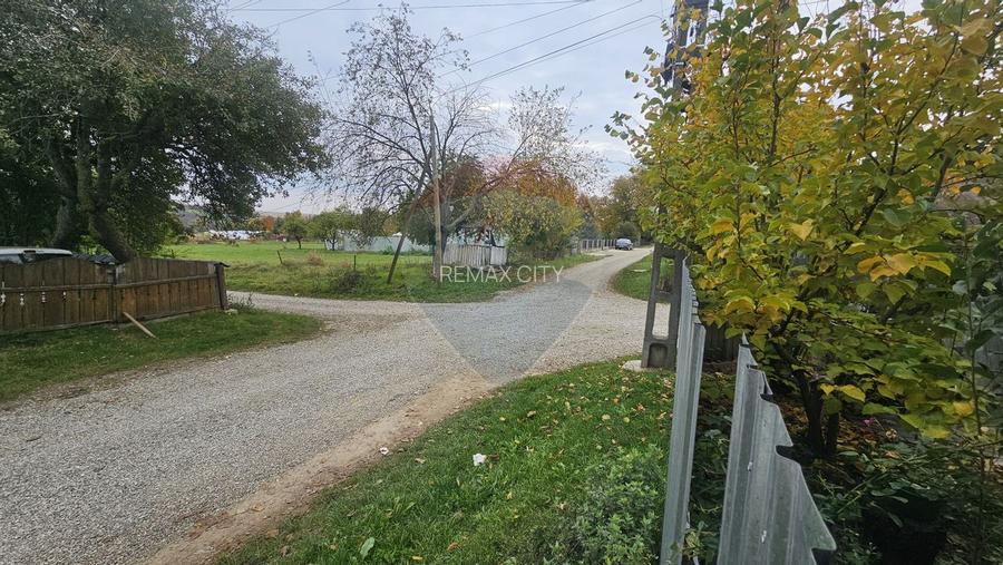 Casuta de la tara - 29