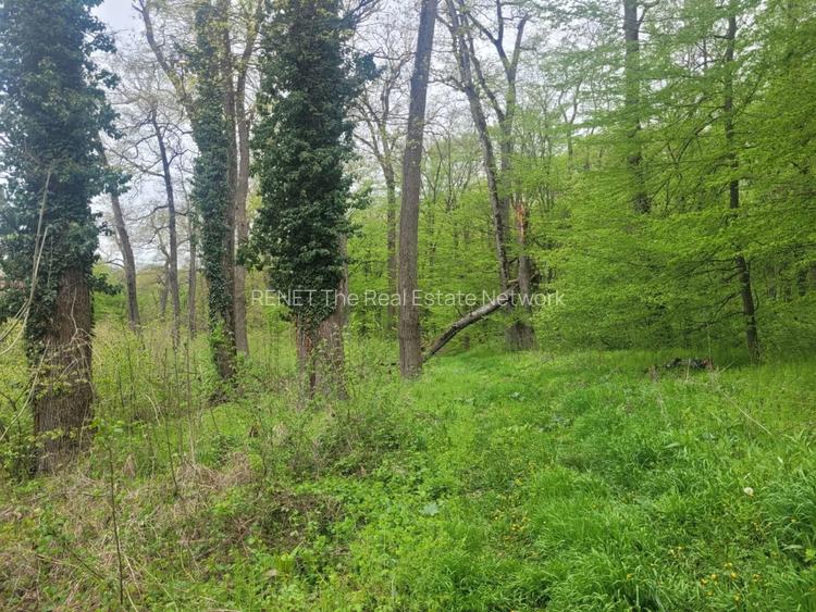 SUPER  OCAZIE TEREN 4000MP DE VANZARE IN SNAGOV CU DESCHIDERE LA LACUL SNAGOV - 6