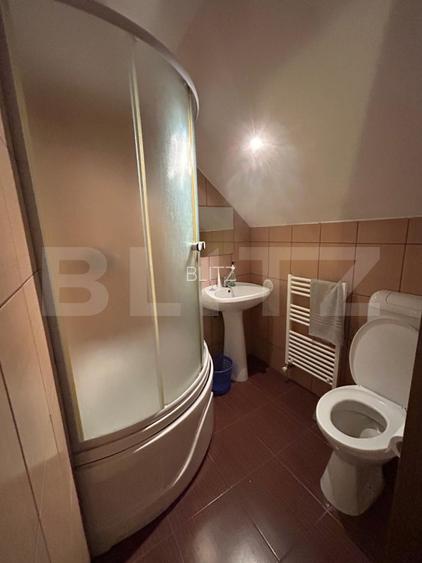 Cabana de vanzare Marisel - afacere la cheie! - 11