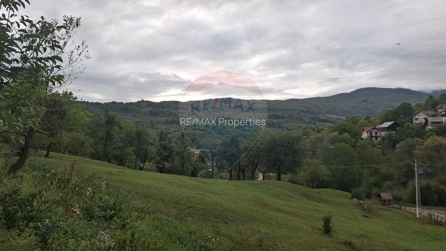 Teren cu priveliste spectaculoasa, 4000mp, la 18km de Sinaia - 4
