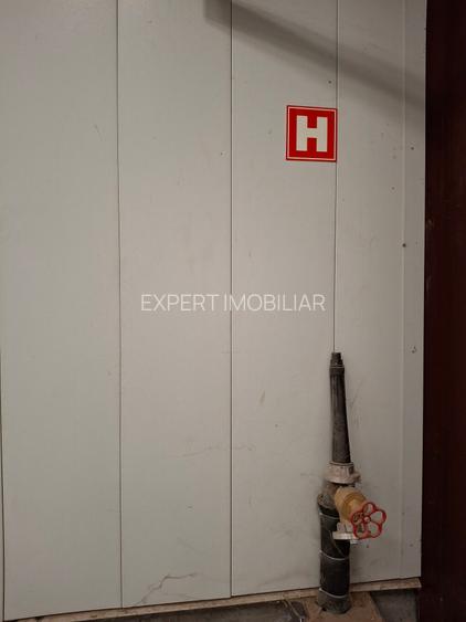 Hala productie /depozitare spatii cazare Branesti/Makita - 9