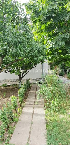 Vanzare 3 case moderne + 3 anexe si 2000 mp teren gradina, pomi in Tuzla la mare - 27