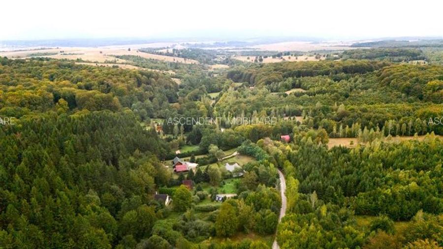 Tur 3D!Cabana de vacanta,zonare valoroasa, cu teren de 2.100 mp,Vladeni,Brasov - 3