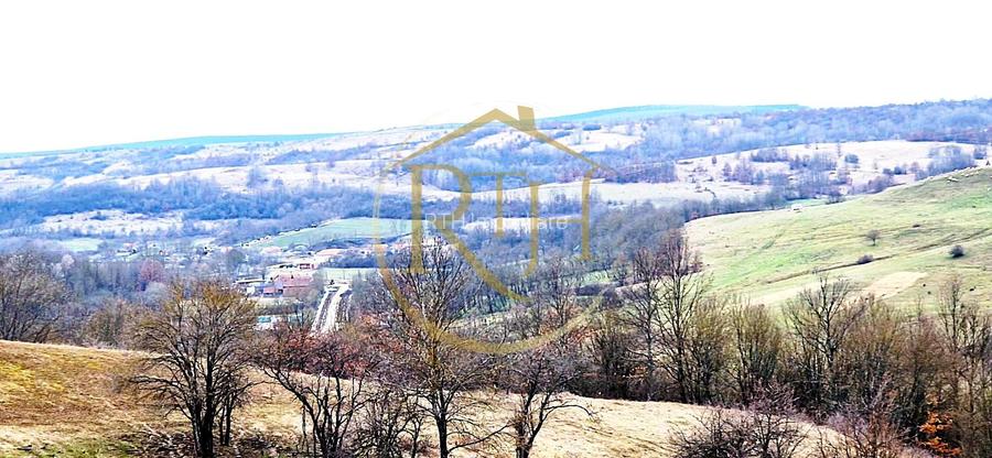 Terenuri extravilane de vânzare – Vizma & Crivobara, comuna Secaș, jud. Timiș - 5