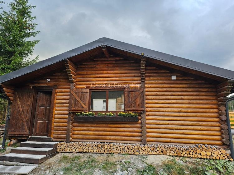 1140mp si cabana Obarsia Lotrului Transalplina 3km partia ski, TOATE UTILITATILE - 8