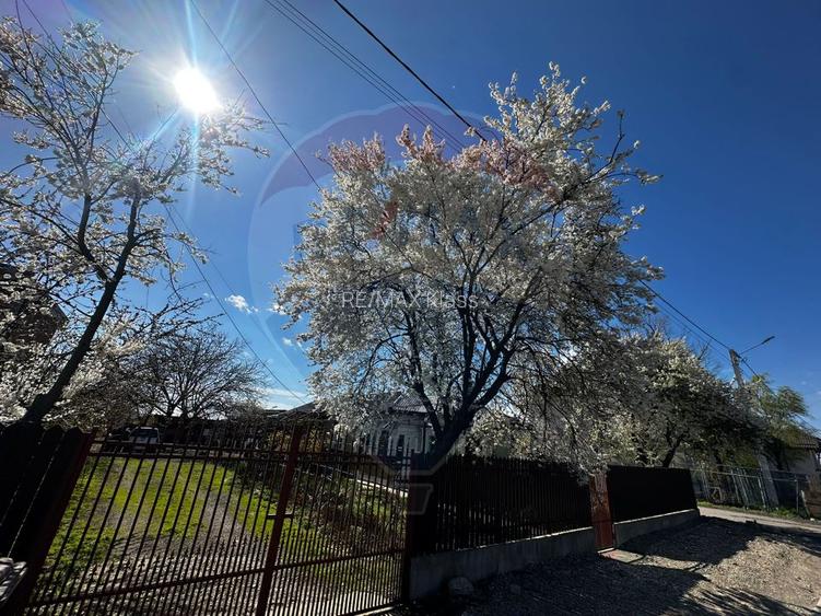 Casă de de vânzare Tartasesti - 3