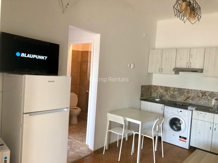 2-Bedroom Apartment with Terrace | Maria Rosetti | Universitate - Armeneasca - 14