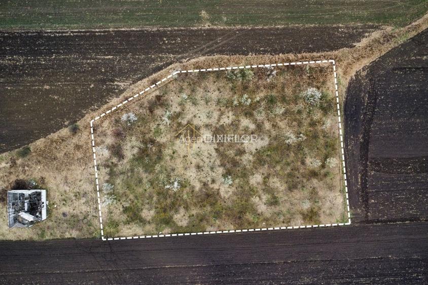 Teren intravilan | sat Curteni | 3.898 mp - 3