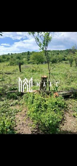 Teren Salatrucel | 8300 m | 12 euro/ metru | Intravilan si extravilan | - 3