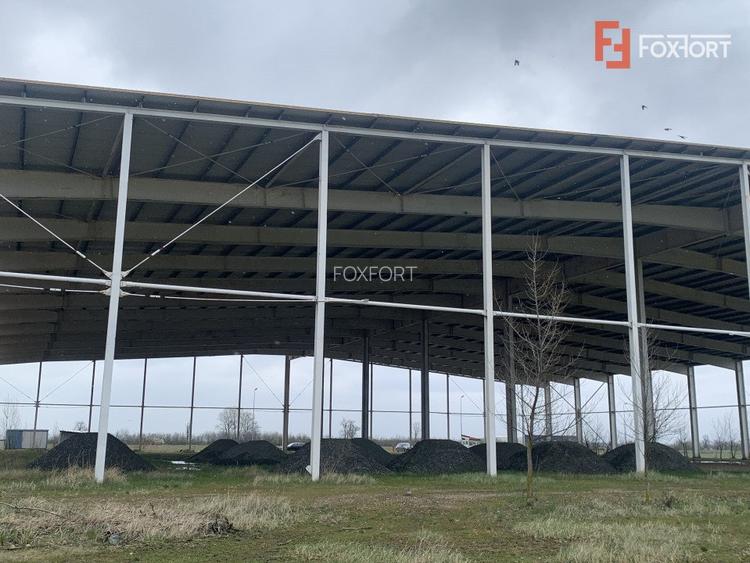 COMISION 0% Hala industriala 5500 mp utili zona de Nord Timisoara - ID V5143 - 14