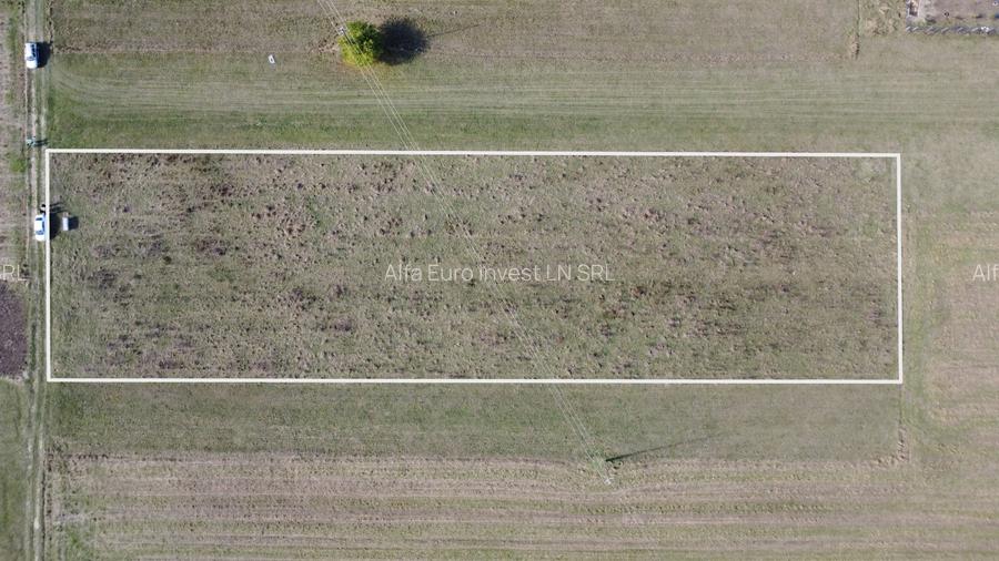 TEREN INTRAVILAN ZONA PENNY - 7