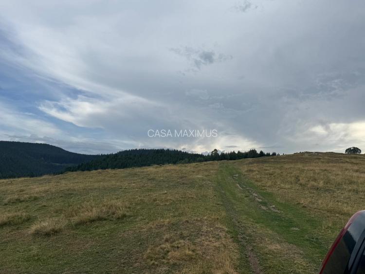 Teren Extravilan de Vânzare în Păltiniș - Oportunitate Excepțională Investiții! - 2