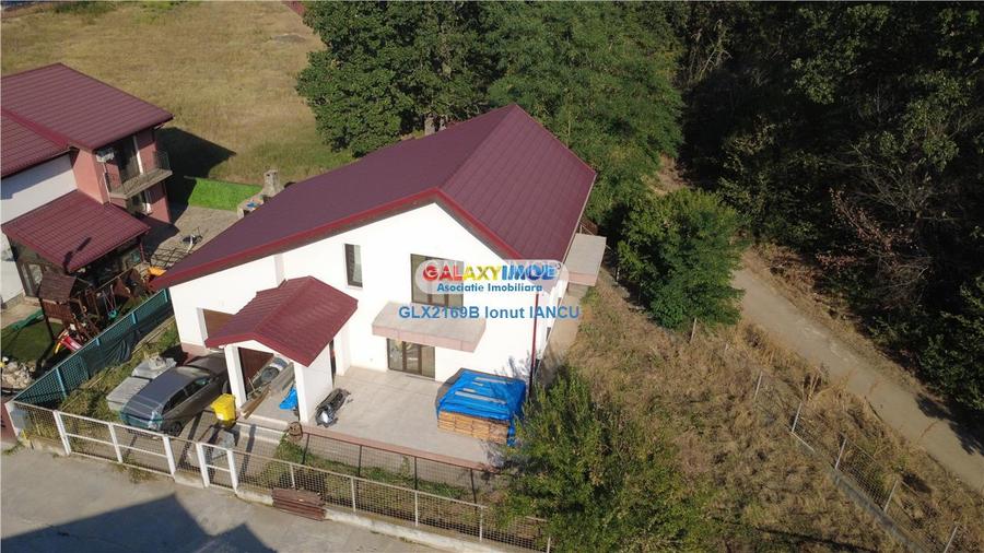 Vila cu garaj Padurea Pantelimon - 4 camere - 17