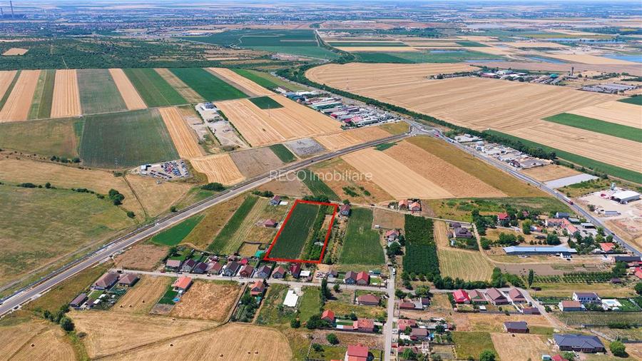 RECO Teren intravilan Biharia - 3