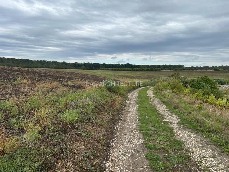 MOARA VLASIEI TEREN INTRAVILAN LA LAC SI PADURE - 4