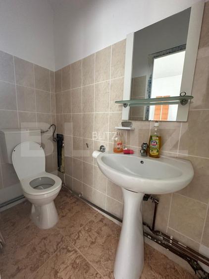 Teren 5.800 mp cu utilitati si constructii existente–Oportunitate de investitie! - 6