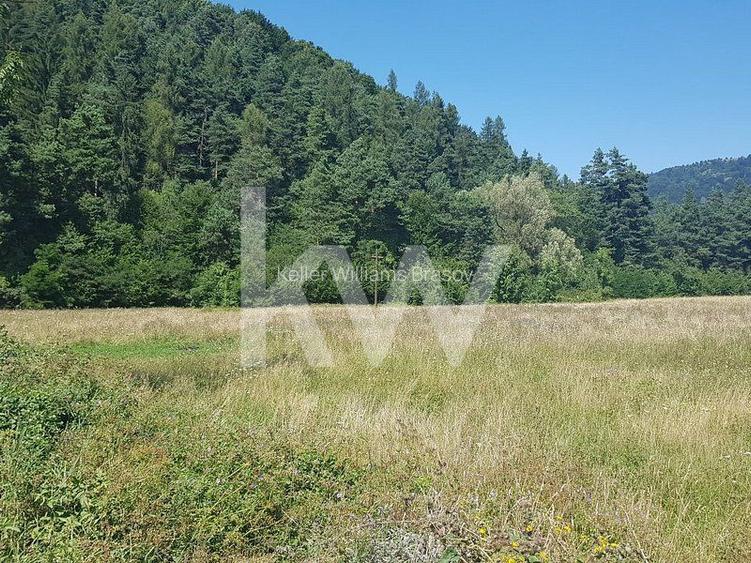 Teren intravilan Sacele - Bradet cu deschidere la DN - 3